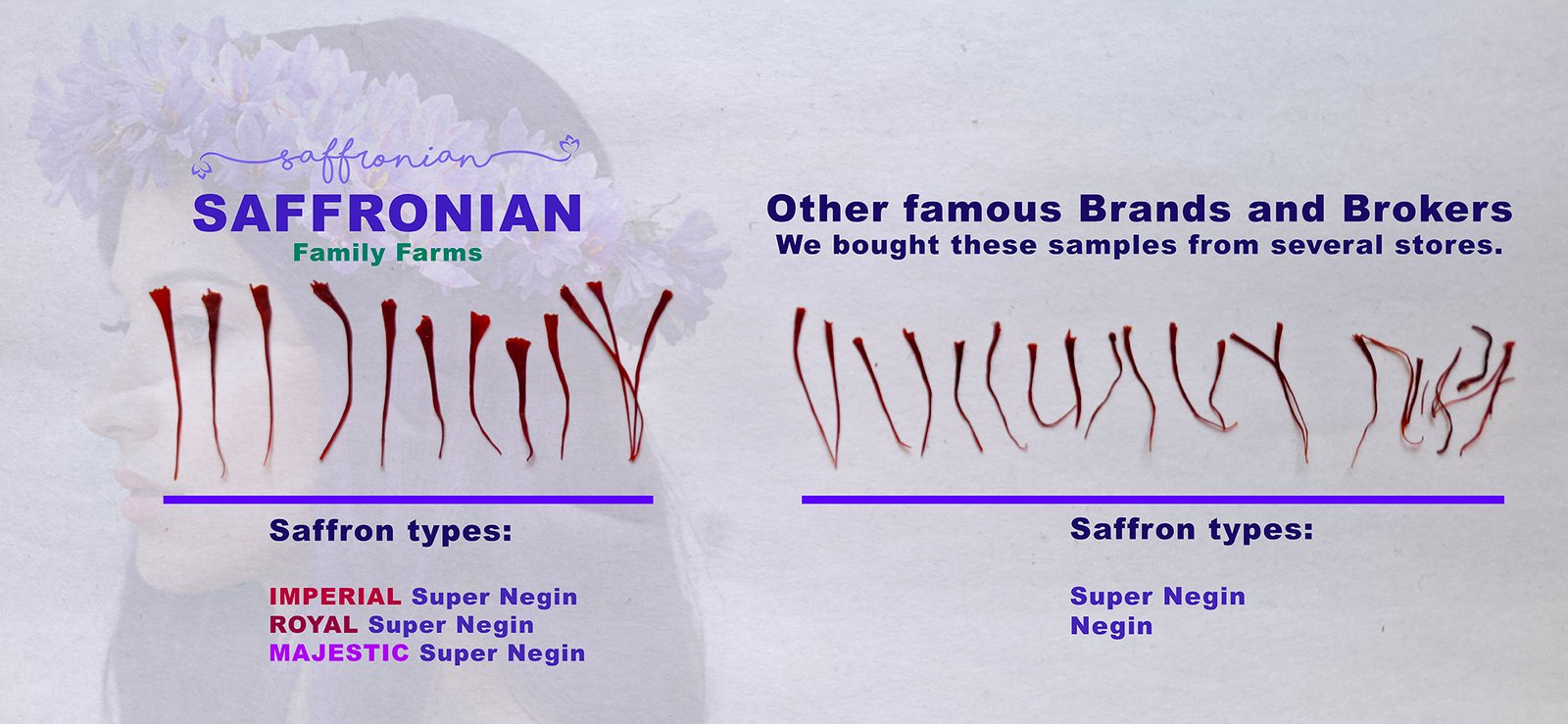 Comparative Analysis of Premium Saffron Brands: Discover How Saffronian Stands Out in Quality, Color, and Flavor
